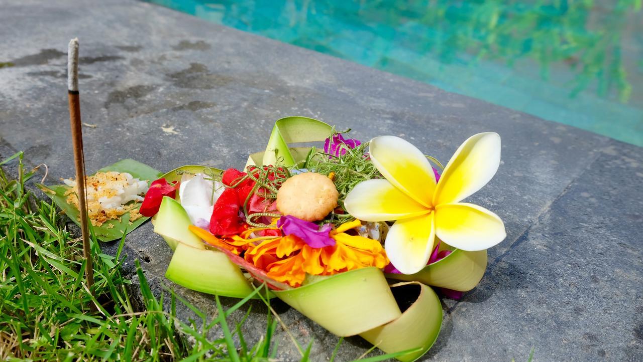 Wiki Bali Hotel Ubud Buitenkant foto