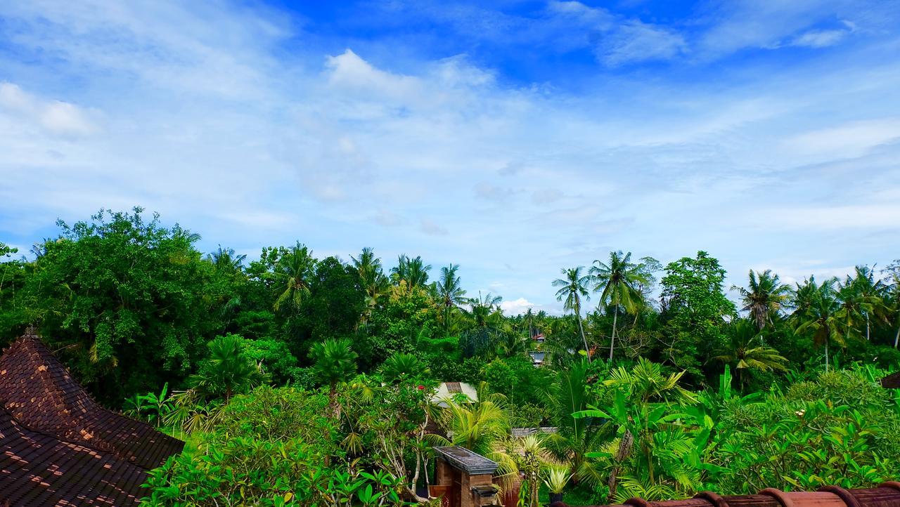 Wiki Bali Hotel Ubud Buitenkant foto